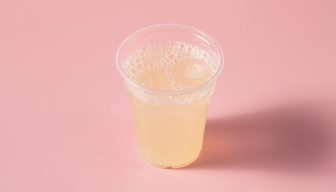 Homemade Lemonade