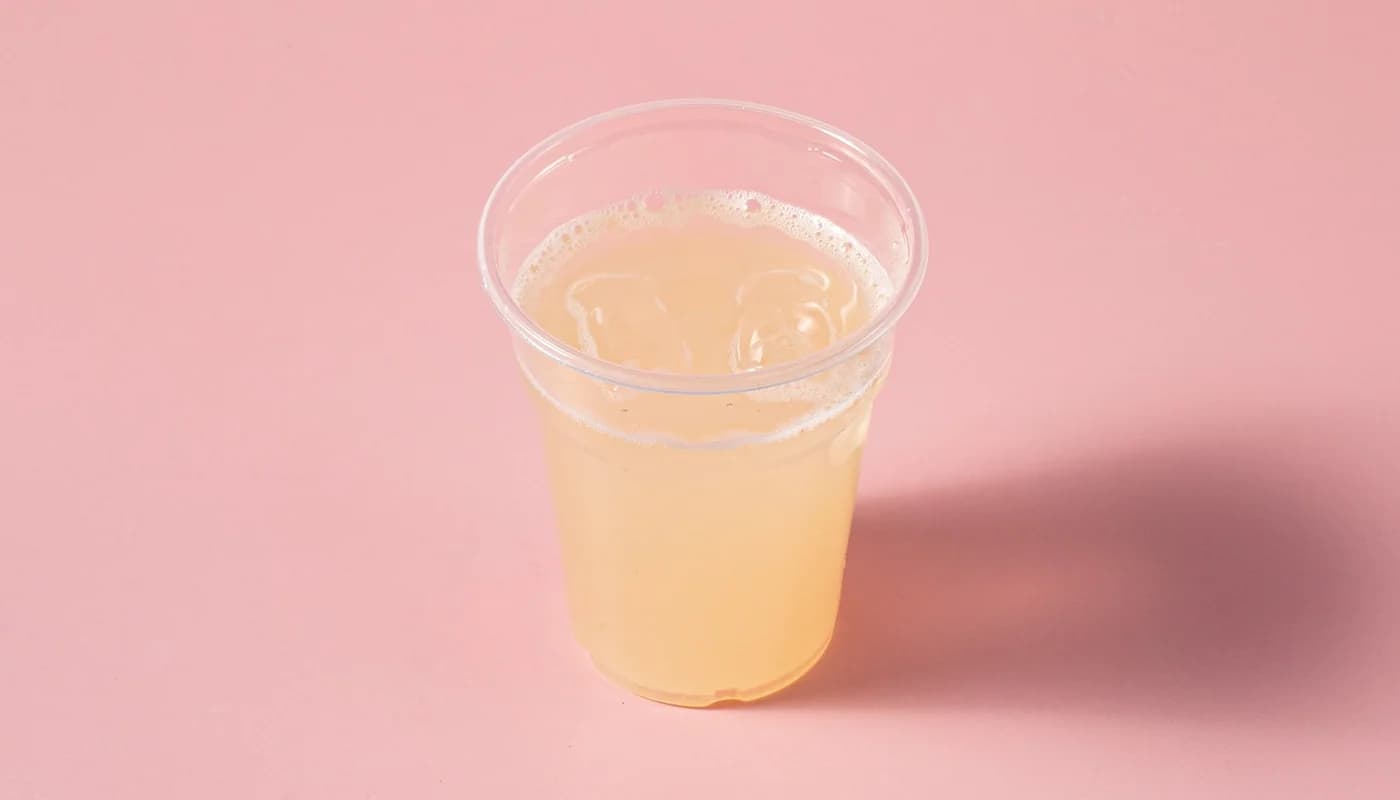 Homemade Lemonade with Ginger & Stevia