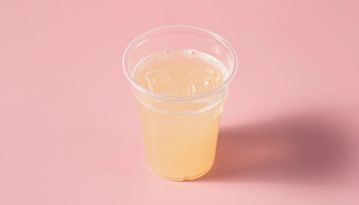 Homemade Lemonade with Ginger & Stevia